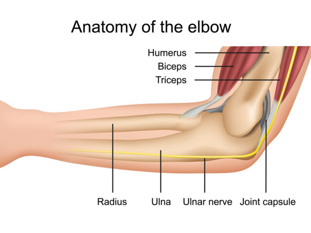 Elbow 1 Elbow